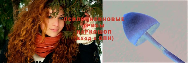 spice Богородск