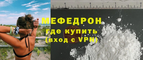 spice Богородск
